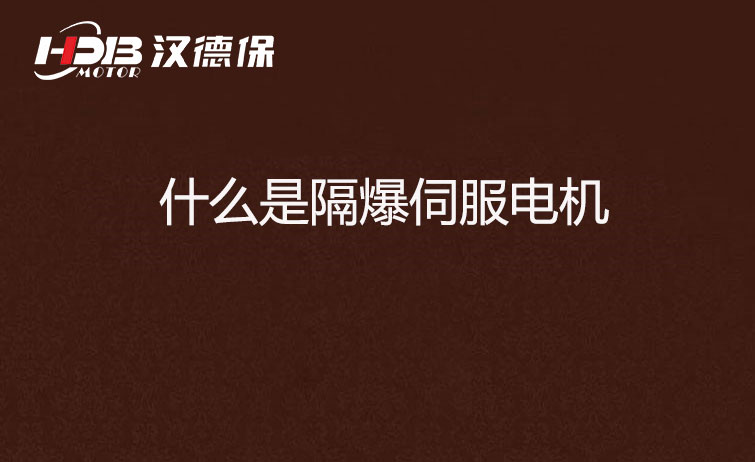 什么是隔爆伺服電機 什么是隔爆伺服電機